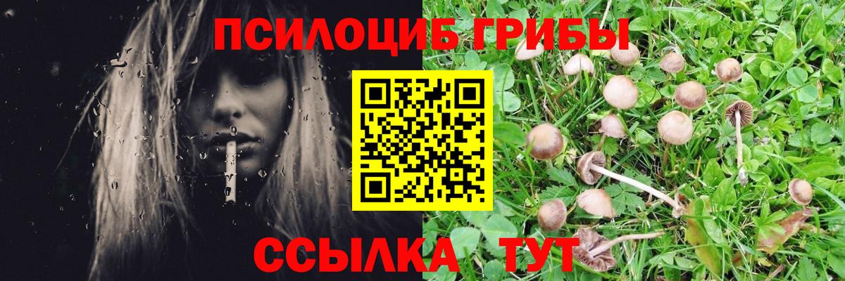Псилоцибиновые грибы ЛСД Новочеркасск