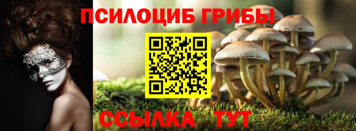 Псилоцибиновые грибы прущие грибы  Галлюциногенные грибы MAGIC MUSHROOMS  Новочеркасск  Вход с VPN 